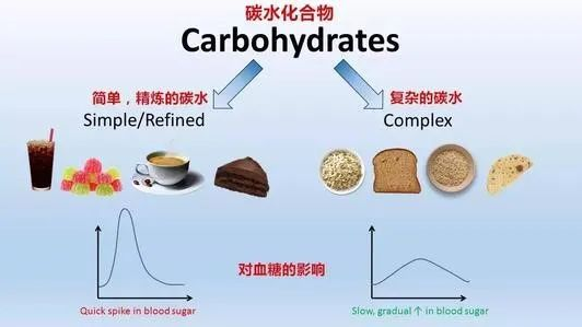 中鏈甘油三酯（MTC）是如何給人體充電加油的？